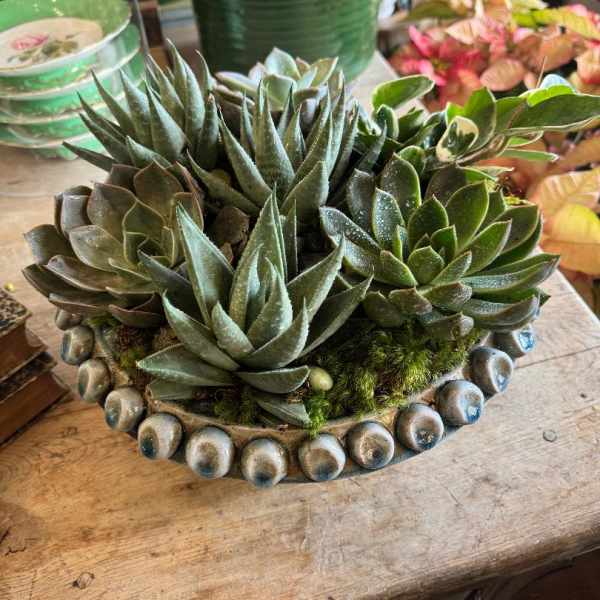 The Desert Jewel
