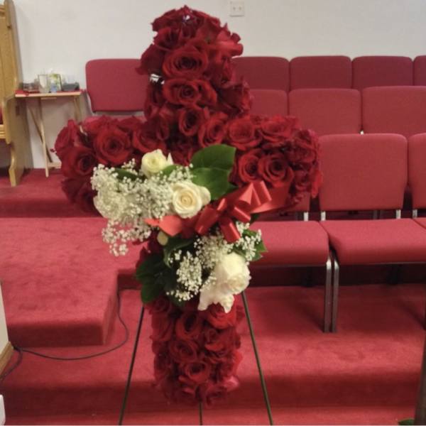 All roses cross