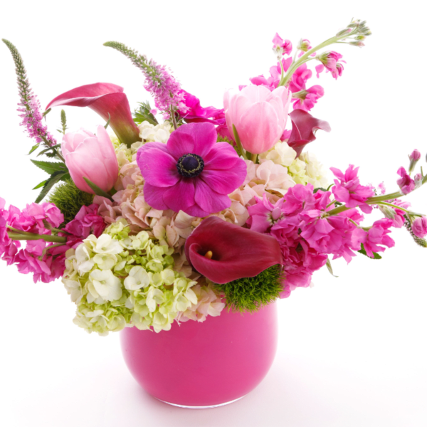 Pink Passion