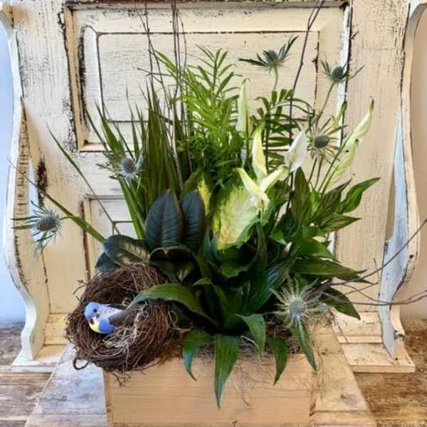 Plant Combination in Wooden Box