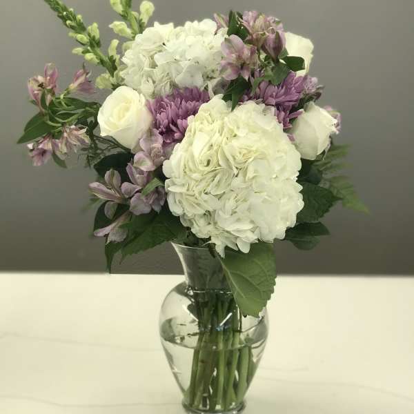 Lavender Light