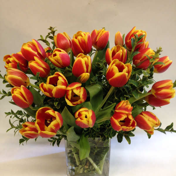 Textural Tulips