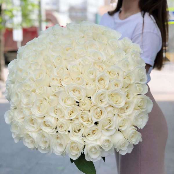 Large bouquet of white roses held by a person