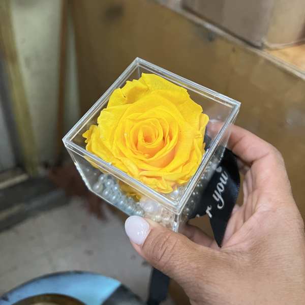 Eternal love rose
