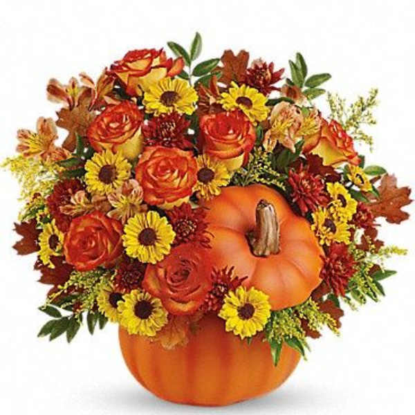 Country Pumking