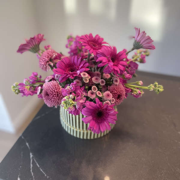 Fuchsia Radiance