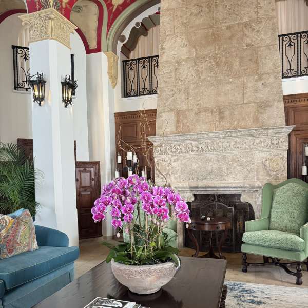 Pink orchid arrangement in a stone bowl on a coffee table