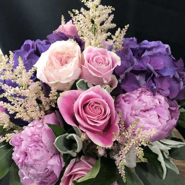Vibrant Elegance