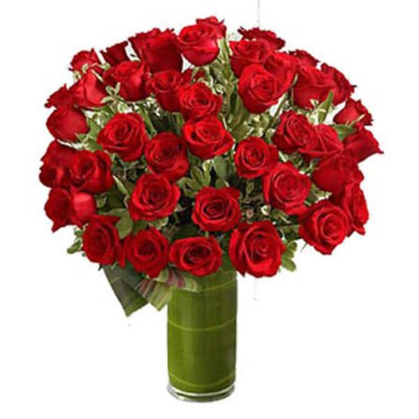 Four dozen rose for the price of 2 Dozen!