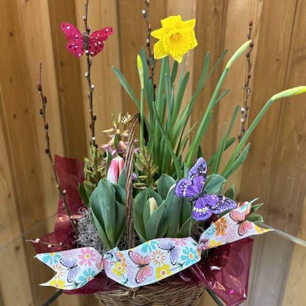 Spring has Sprung
