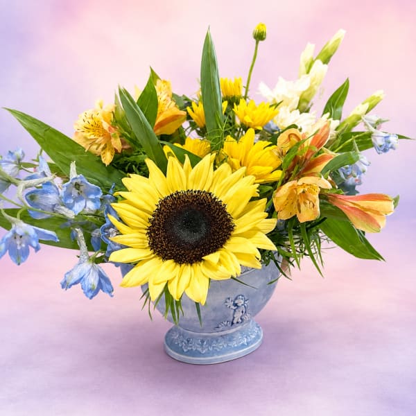 Bluebird Meadow