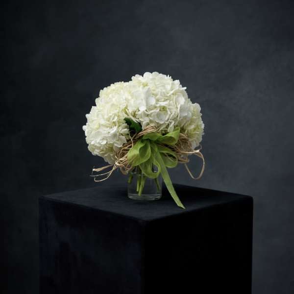 White Hydrangea Cluster