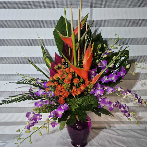 TROPICAL SPLENDOR