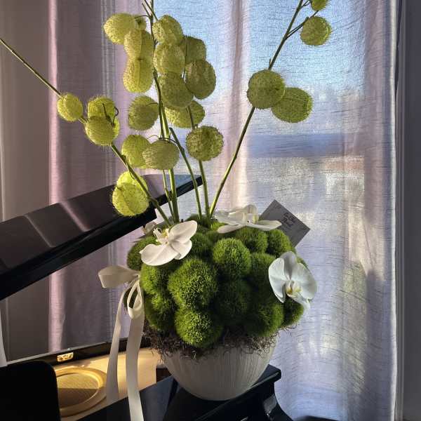 Crown Orchids