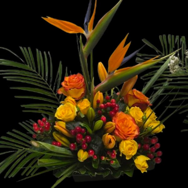 Tropical Energy