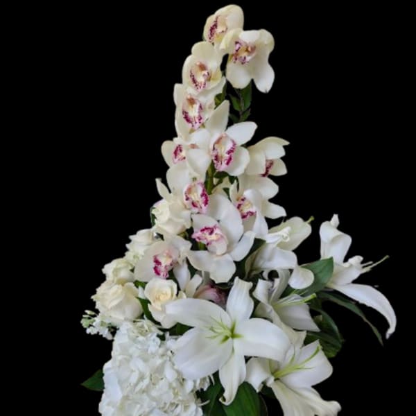 Orchid Grace