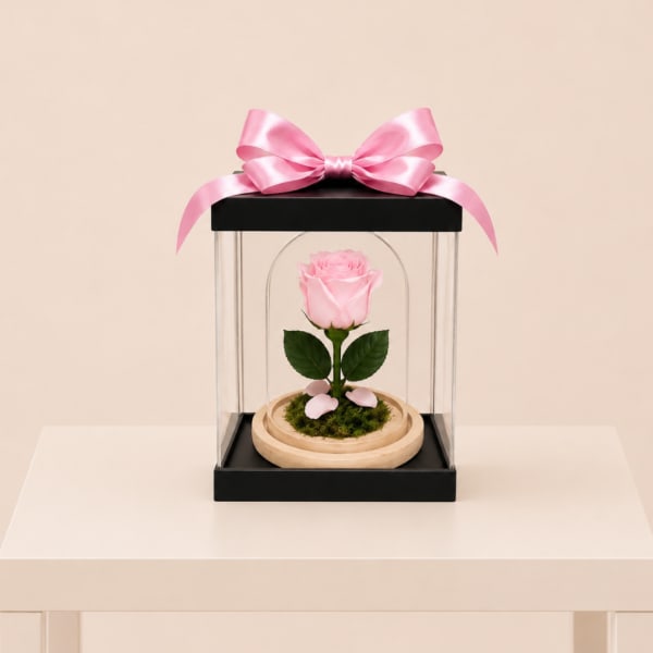 Forever Rose – Soft Pink (Height: 6.69 ")