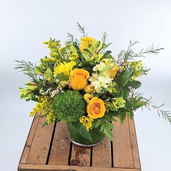 Yellow Optimism (BR)