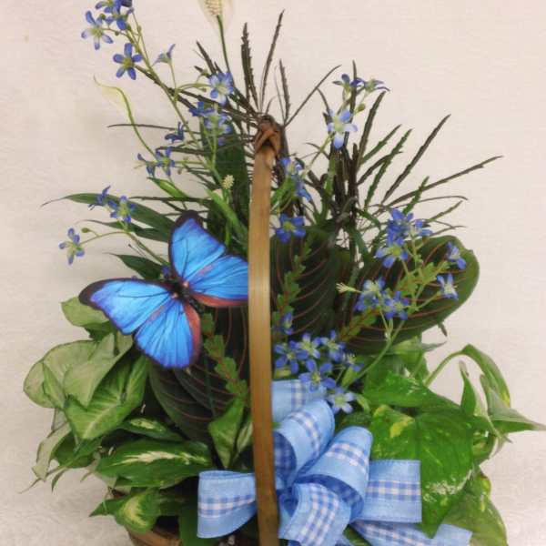 Blue Dish Garden