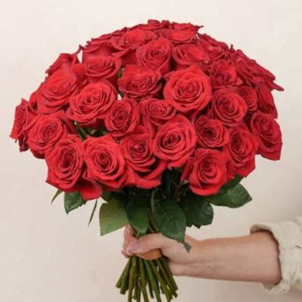36 Roses for the price of 18