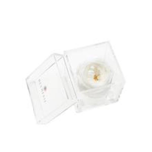 Single White Rose