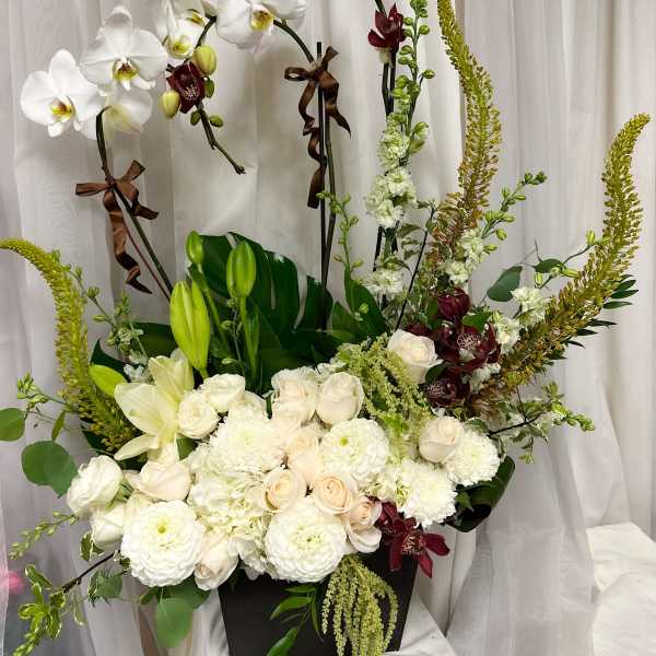 Whispering Orchids