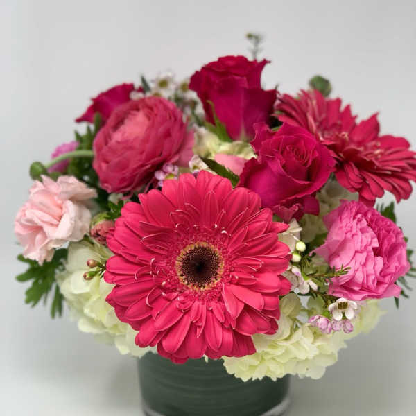 Pink Delight