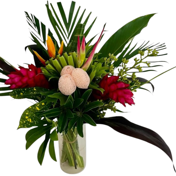 Tropic rainbow