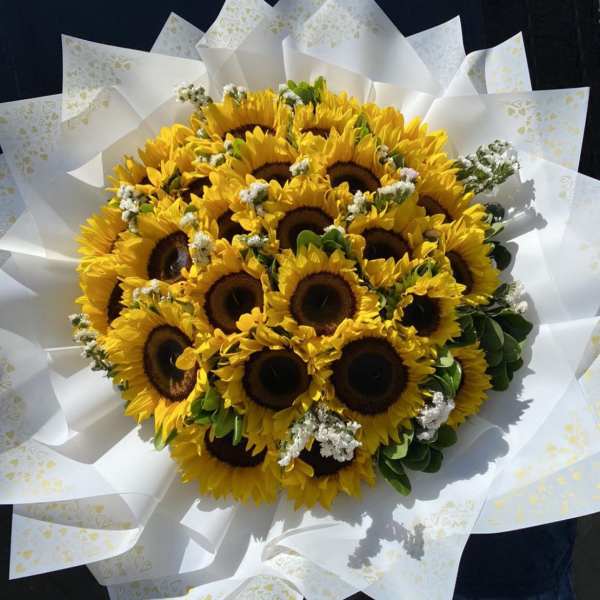 Sunflowers