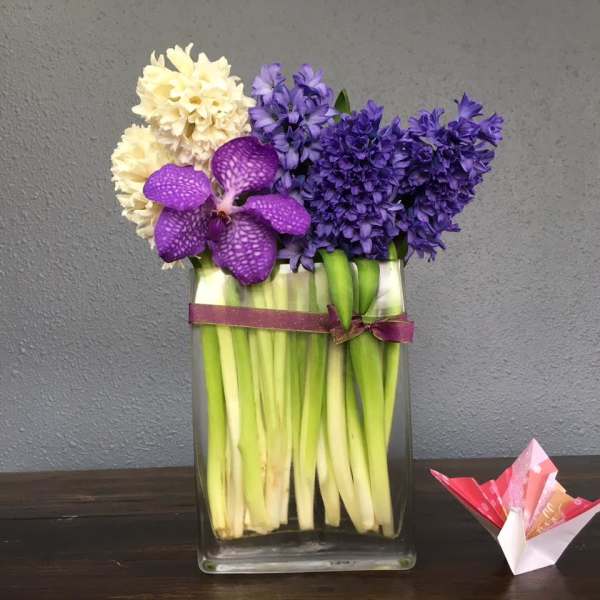 Purple Theory