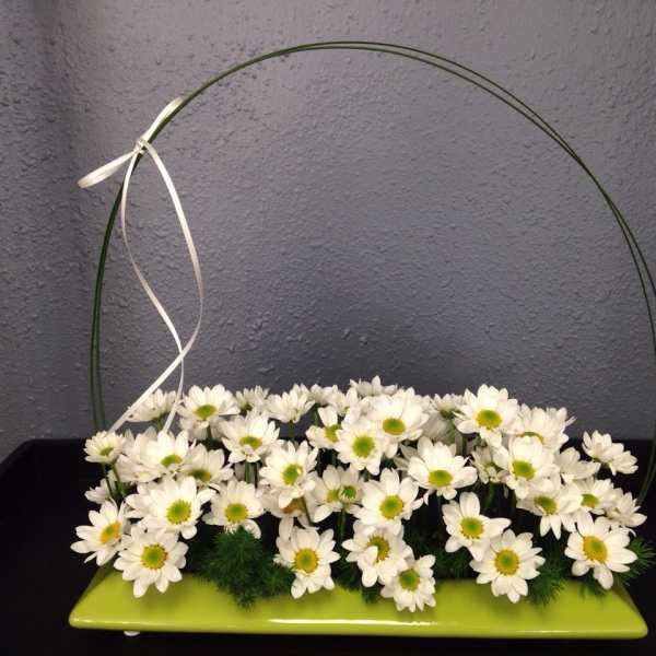 Spring Awakening