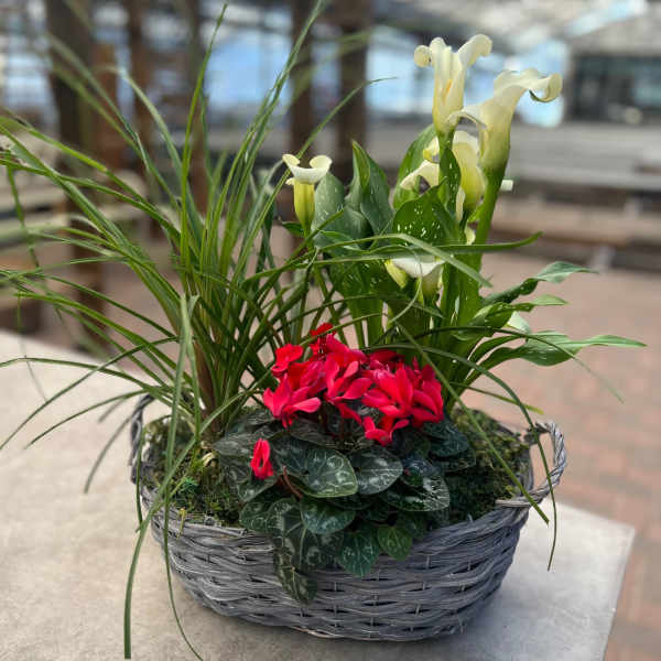 Life is a Flower