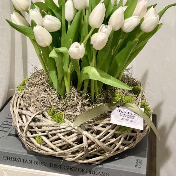 Tulips in Bloom