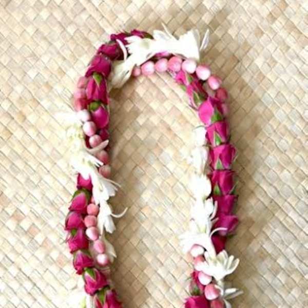 Pink Princess
