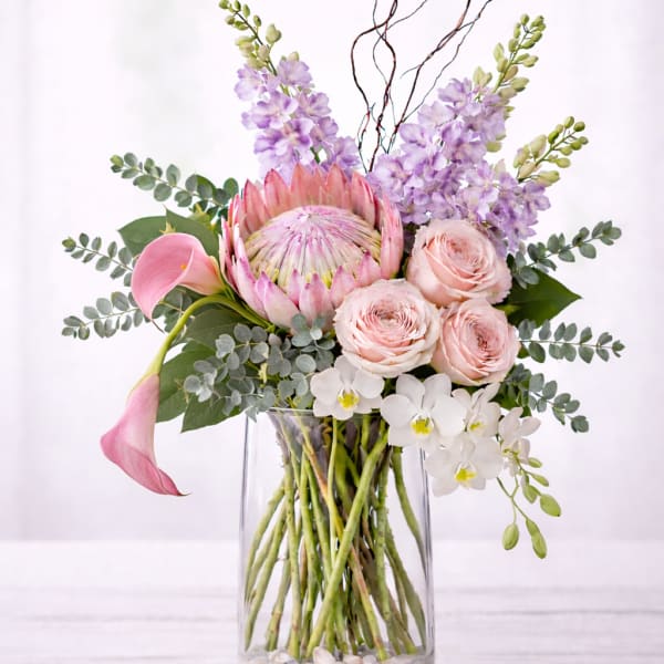 The Grand Bloom