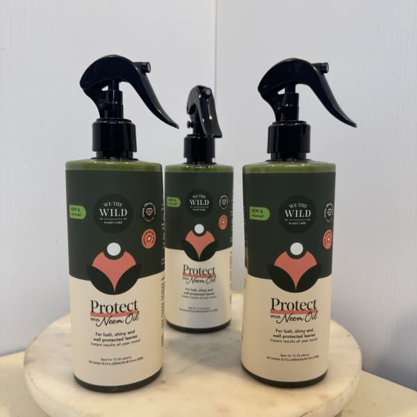 Three plant care spray bottles on a round marble stand