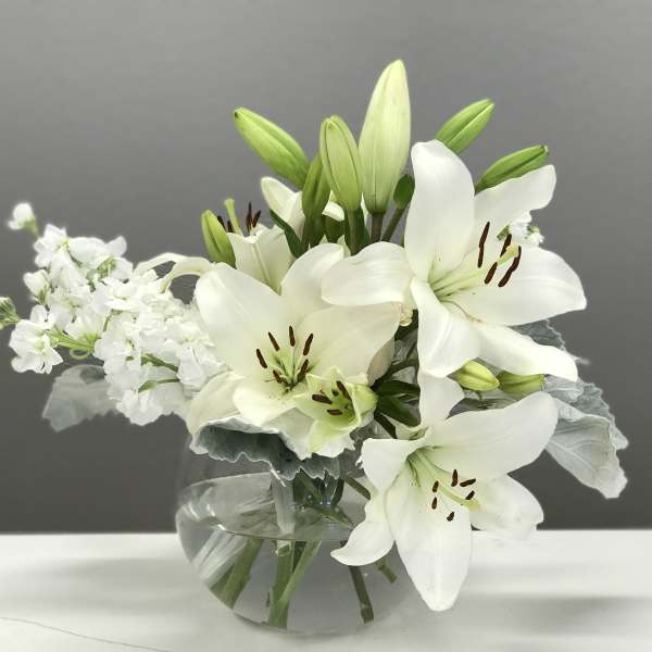 La Dame Blanche