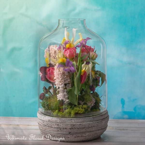 garden bulbs