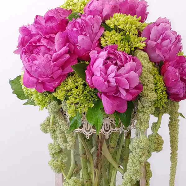 Luxury Blooms