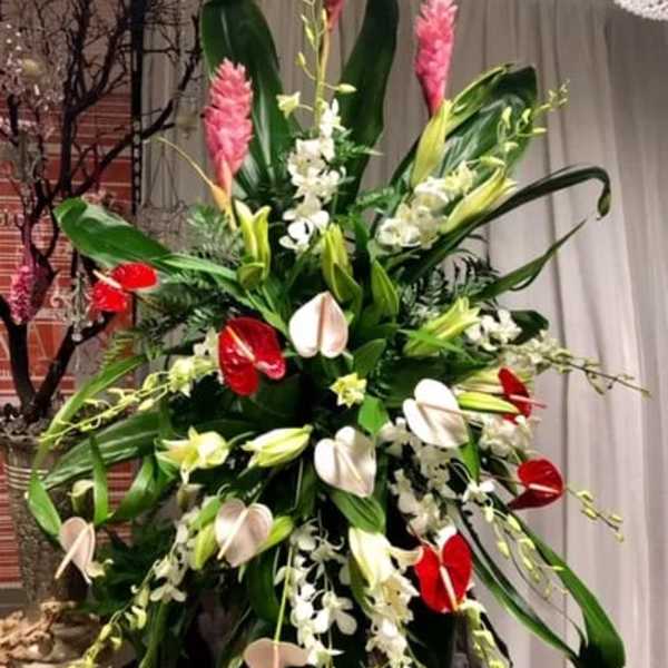 Tropical Tribute