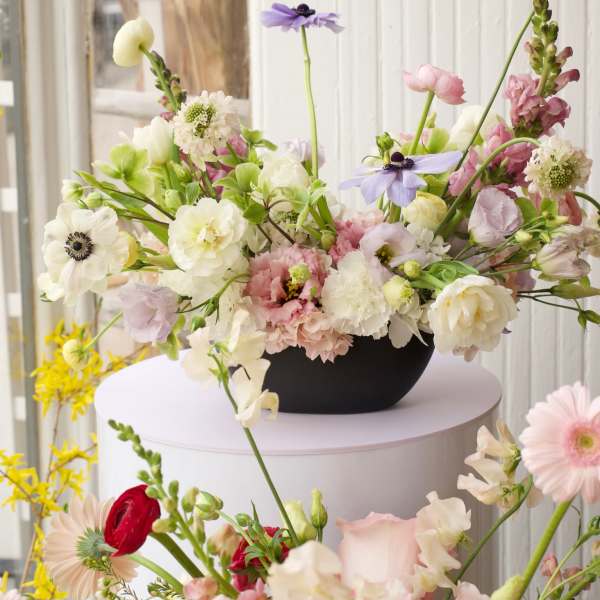 Spring Equinox