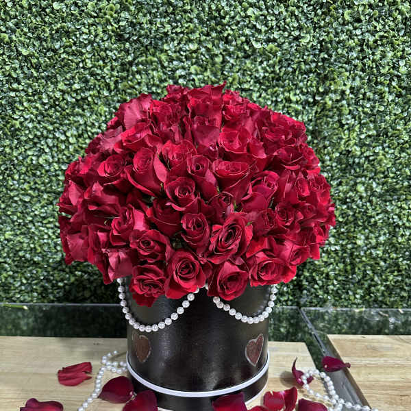 Elegant red