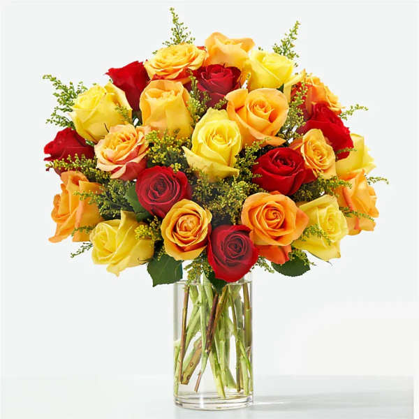 Sunlit Fall Rose