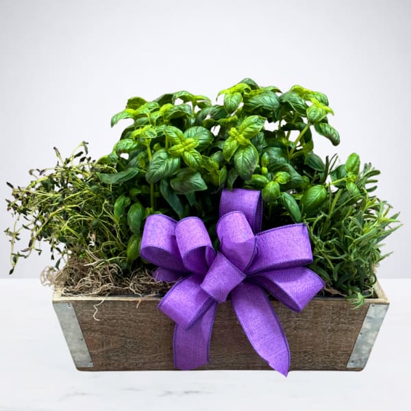 Culinary Herb Planter