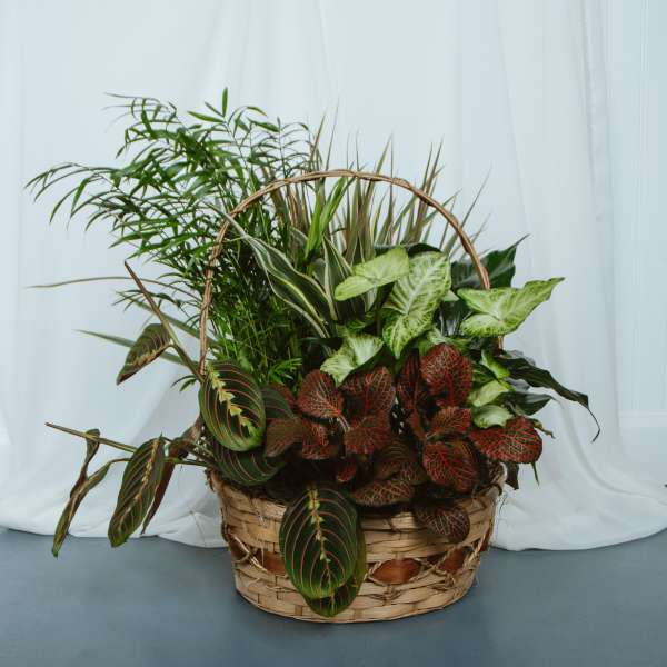 Basket Garden 12in