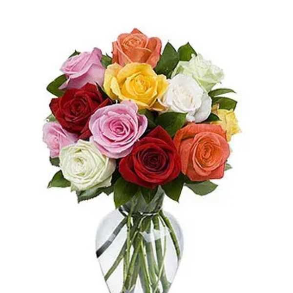 Rose Kolors