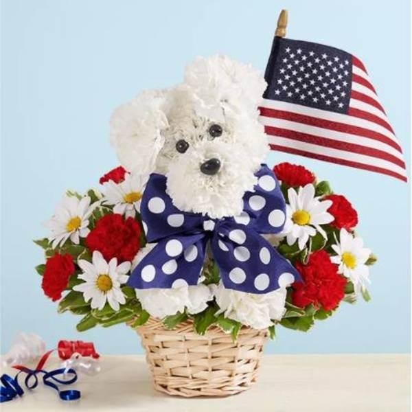 Yankee Doodle Doggie