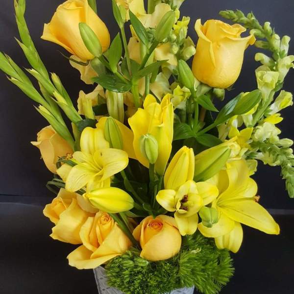 Yellows