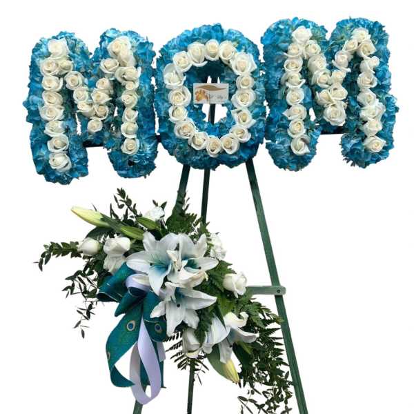 MOM DISPLAY