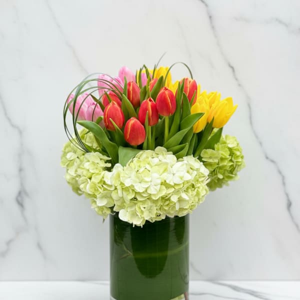 Sweetheart Tulip